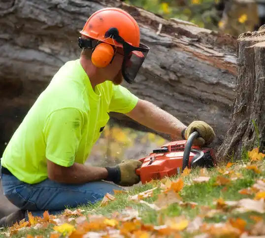 tree services Harkers Island